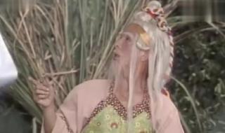 新白娘子搞笑版 新白娘子搞笑版