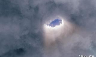 李淳罡为什么不飞升 李淳罡为什么不飞升