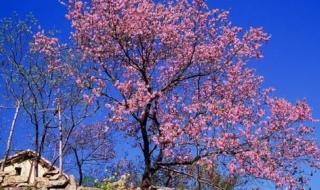 荥阳环翠峪风景区