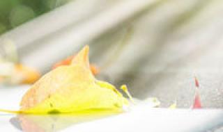 写轮眼的图片 写轮眼的图片